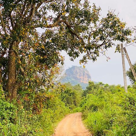 Hotel Sigiriya Kele Extérieur photo