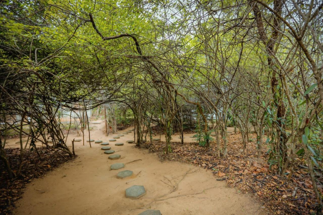 Hotel Sigiriya Kele Extérieur photo