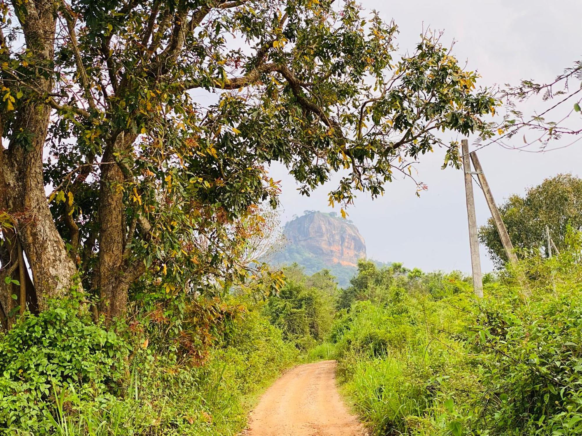 Hotel Sigiriya Kele Extérieur photo